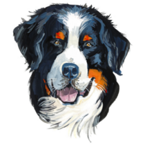 Gouache Drawn Bernese Sticker