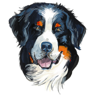 Gouache Drawn Bernese Sticker