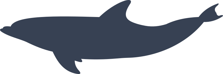 Graceful Dolphin Sticker