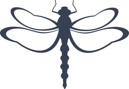 Graceful Dragonfly Sticker