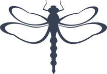 Graceful Dragonfly Sticker