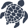Graceful Sea Turtle Sticker