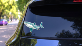 Graceful Swimming Shark Sticker on a Rear Car Window (New) example