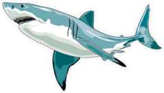 Graceful Swimming Shark Sticker