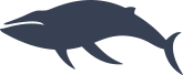 Graceful Whale Sticker