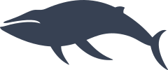 Graceful Whale Sticker
