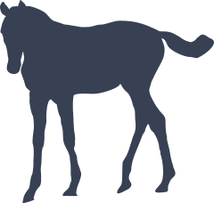 Gracious Horse Sticker