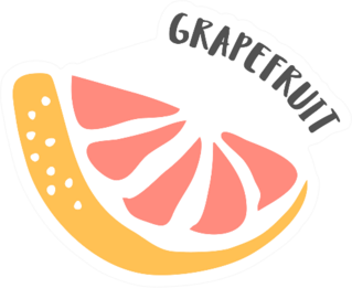 Grapefruit Hand Painted Sticker