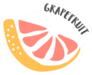 Grapefruit Hand Painted Sticker