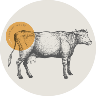 Graphic Hand-drawn Cow Retro Sticker