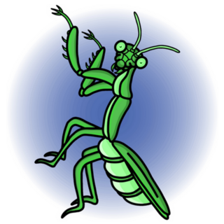Graphic Illustration Of A Praying Mantis Sticker