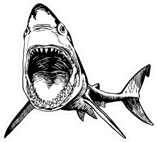 Graphic Shark With Open Mouth Sticker