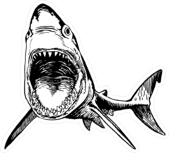 Graphic Shark With Open Mouth Sticker