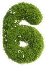 Grass and Flowers Font Number 6 Sticker