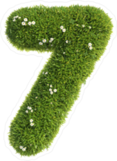 Grass and Flowers Font Number 7 Sticker