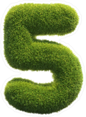 Grass Number 5 Sticker