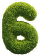 Grass Number 6 Sticker