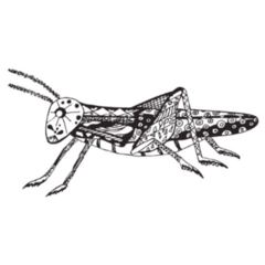Grasshopper, Black And White With Patterns Sticker 