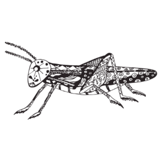 Grasshopper, Black And White With Patterns Sticker 