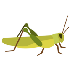 Grasshopper Flat Icon Sticker 