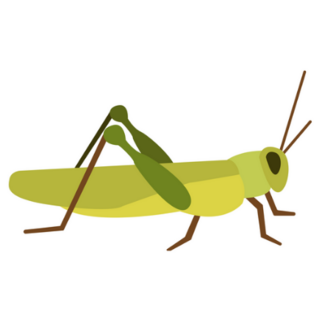 Grasshopper Flat Icon Sticker 