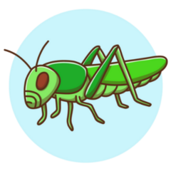 Grasshopper Kids Drawing Cartoon Fly Sticker 