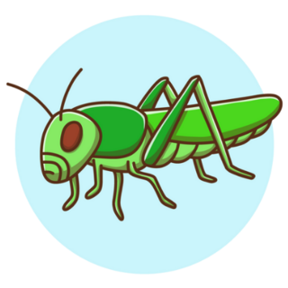 Grasshopper Kids Drawing Cartoon Fly Sticker 