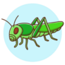 Grasshopper Kids Drawing Cartoon Fly Sticker 