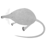 Gray Mole Sticker