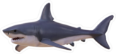 Grazing Great White Shark Sticker