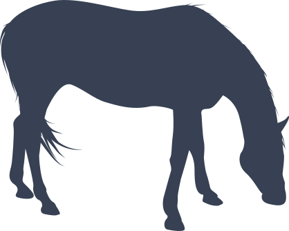 Grazing Horse Sticker