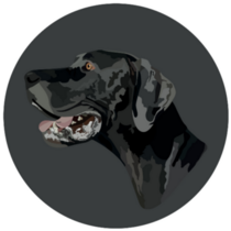 Great Dane Circle Sticker