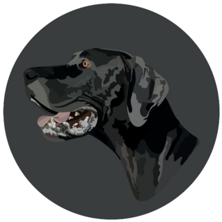 Great Dane Circle Sticker