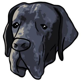 Great Dane Head Sticker
