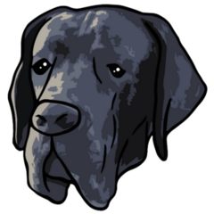 Great Dane Head Sticker