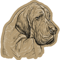 Great Dane On Beige Sticker
