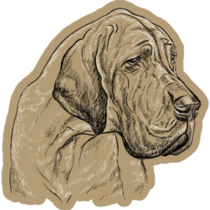 Great Dane On Beige Sticker