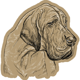 Great Dane On Beige Sticker