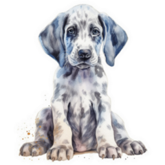 Great Dane Pup Watercolor Sticker