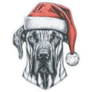 Great Dane Santa Sticker