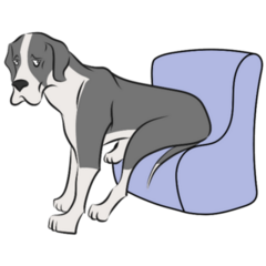 Great Dane Sofa Sticker