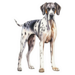 Great Dane Standing Sticker