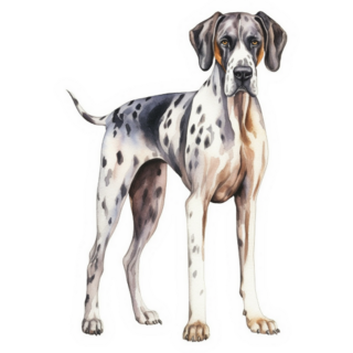 Great Dane Standing Sticker