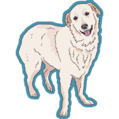 Great Pyrenees Dog Teal Sticker