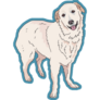 Great Pyrenees Dog Teal Sticker