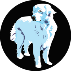 Great Pyrenees Eyes Sticker