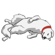 Great Pyrenees Nap Sticker