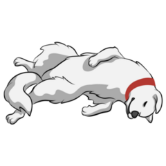 Great Pyrenees Nap Sticker