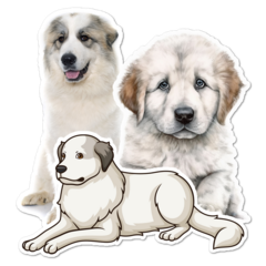 Great Pyrenees Thumbnail