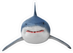 Great White Shark Facing You Sticker